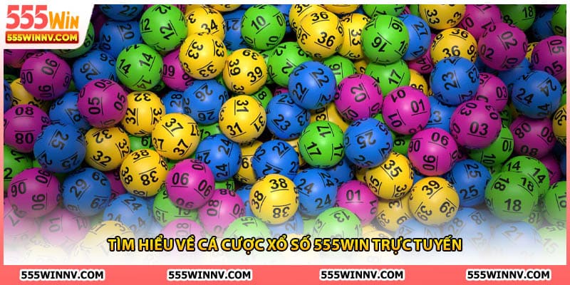 Tìm hiểu về cá cược xổ số 555Win trực tuyến